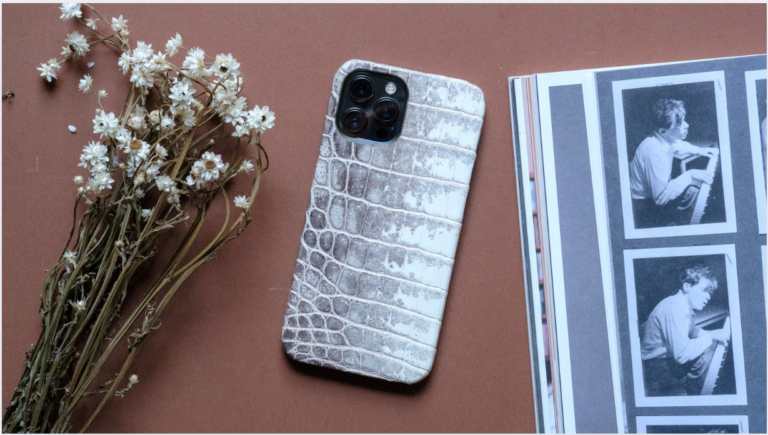Cell phone case