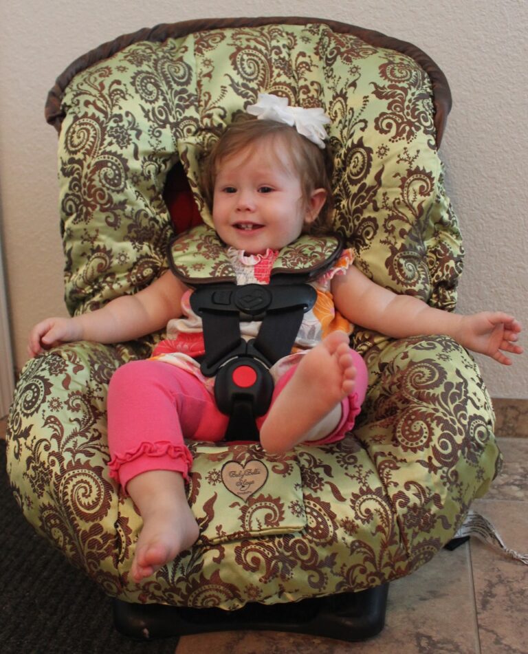 Baby Bella Maya Toddler Car Seat Cover Review