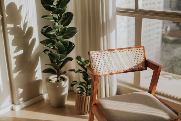 Sunlit Room with Modern Wooden Chair and Plants
