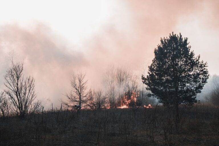 How to Protect Your Home’s Interior from Wildfire Smoke and Ash