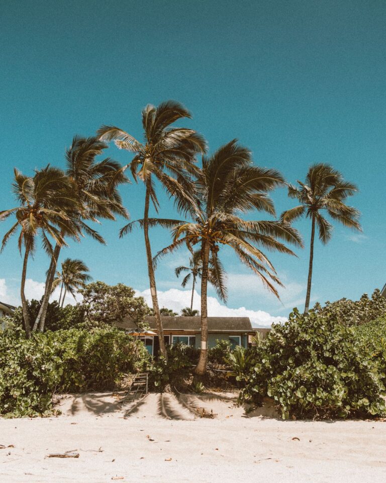 Hawaiian Home