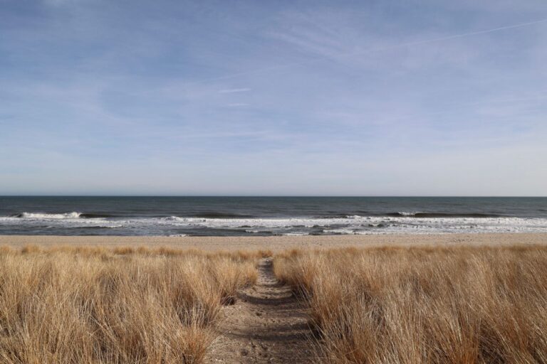 Jersey Shore